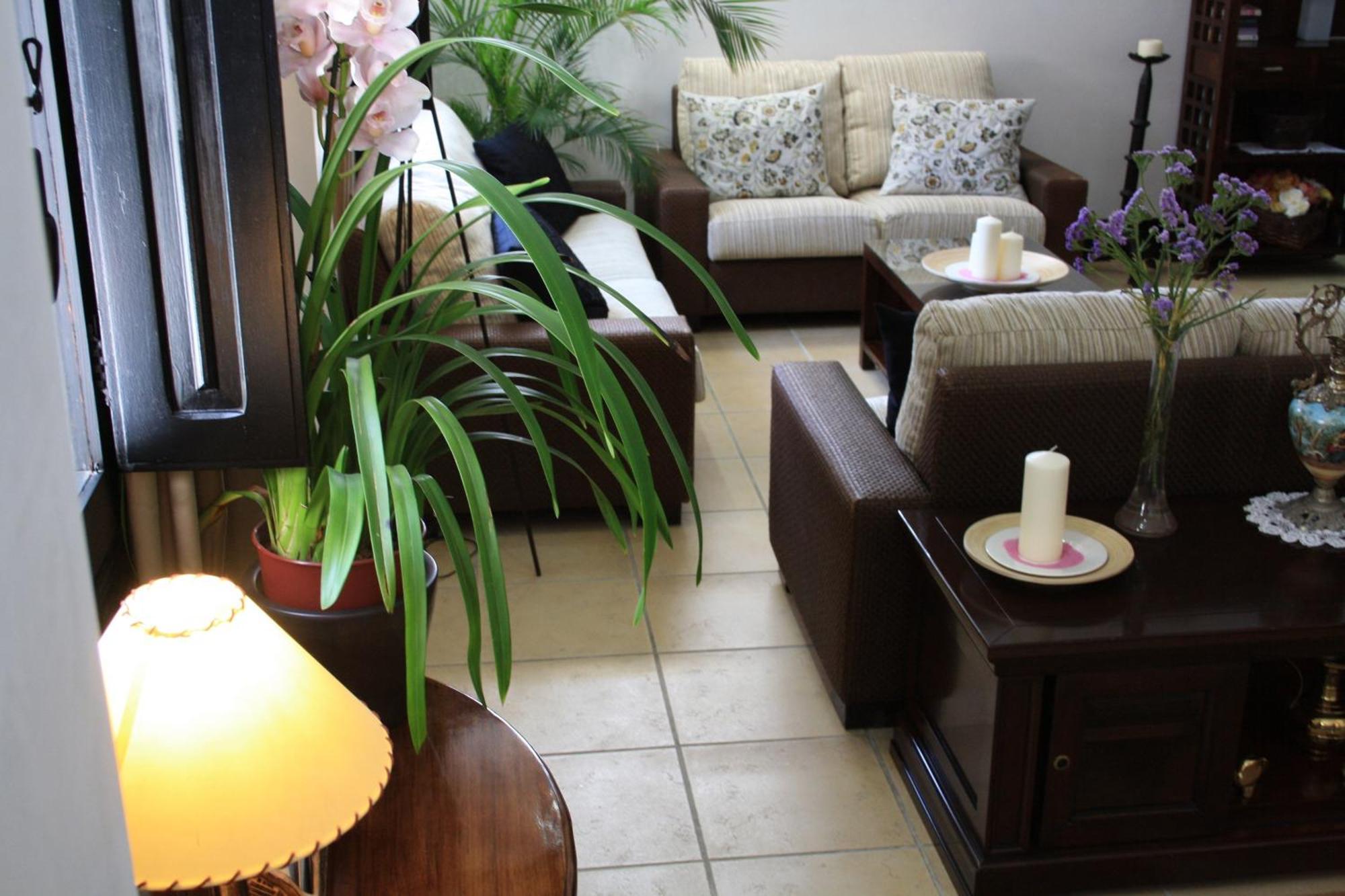 فندق Santuario San Jose (Adults Only) المظهر الخارجي الصورة